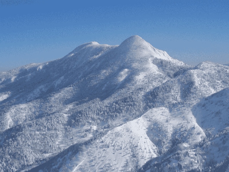 试管植物活琼脂（南京精液不液化治疗费用）
